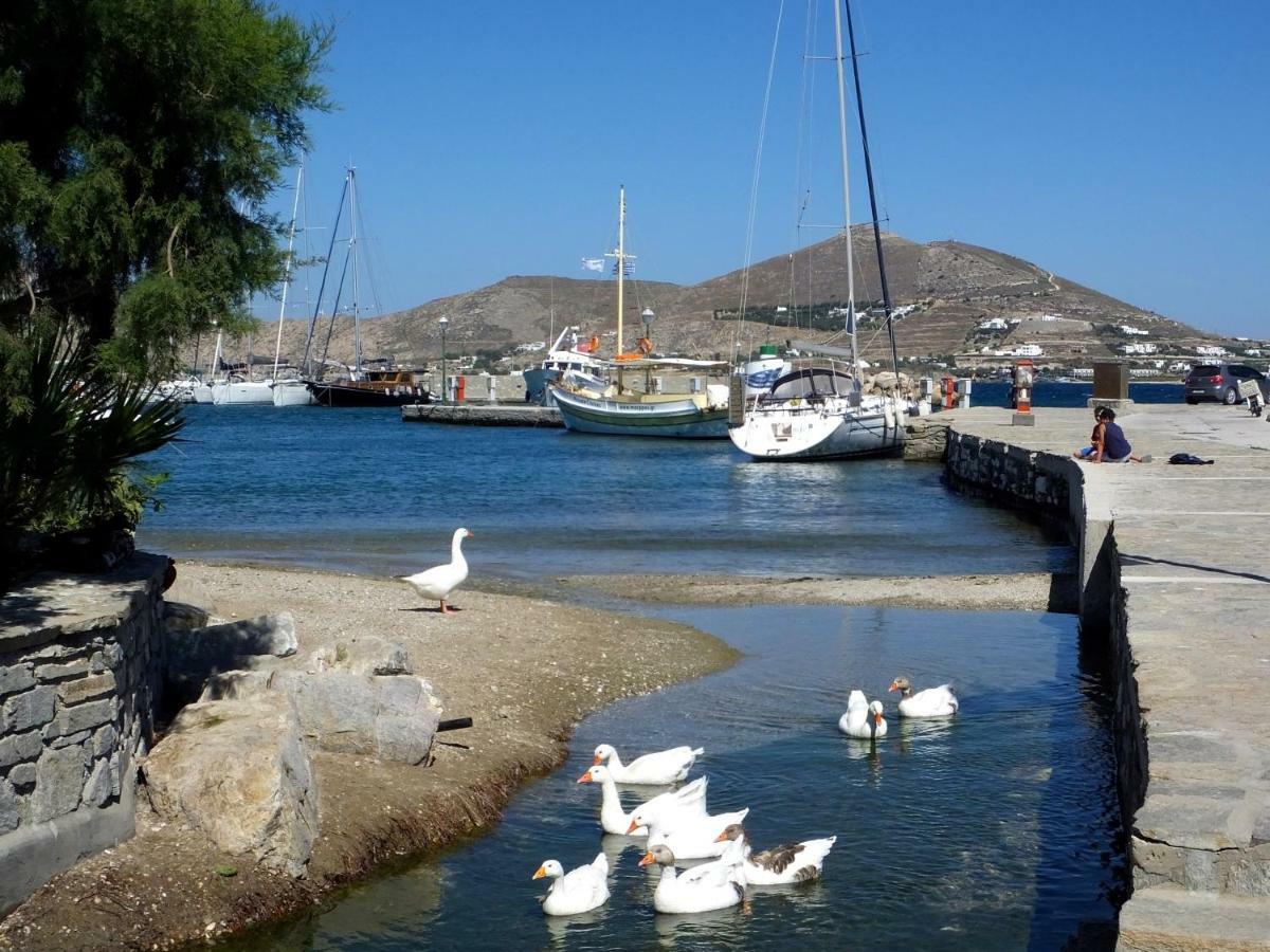 Villa Viglakia Zambujeira do Mar Dış mekan fotoğraf